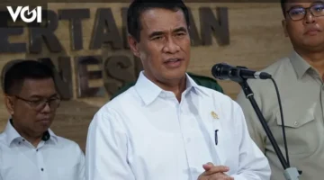 وزراء يشكلون فرقة عمل لمراقبة أسعار الأرز وسط مخاوف ارتفاعات جديدة